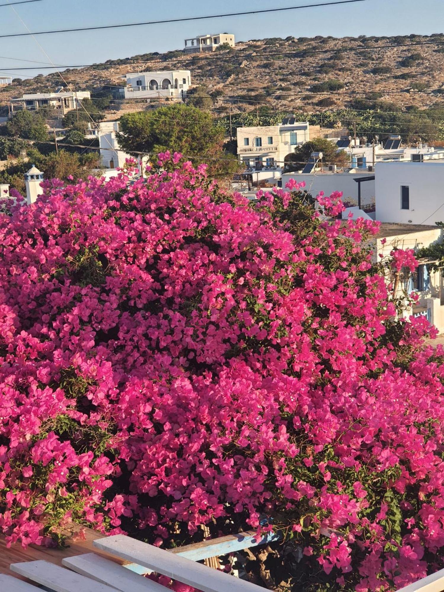 Μαϊστράλι Διαμέρισμα Ηρακλειά Δωμάτιο φωτογραφία